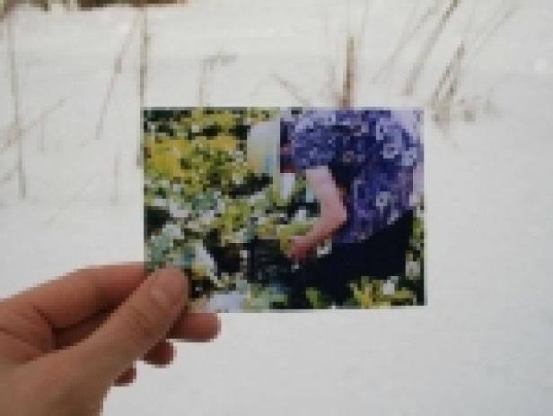 Eine Hand hält ein Foto von einer Person, die im Garten arbeitet, vor einem verschneiten Hintergrund.