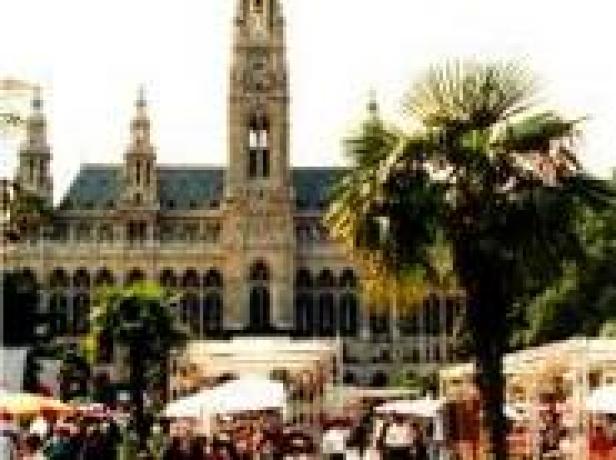 Das Wiener Rathaus mit einem Markt im Vordergrund, teilweise von einer Palme verdeckt.