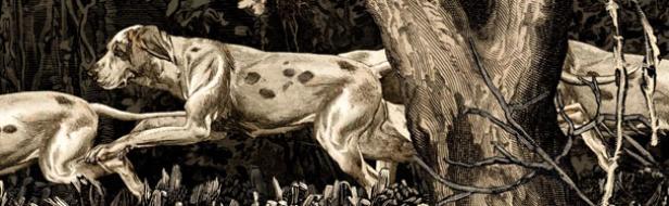 Eine Gruppe Dalmatiner läuft durch einen dunklen Wald.