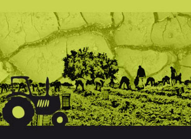 Eine Gruppe von Landarbeitern erntet ein Feld mit einem Traktor im Hintergrund.