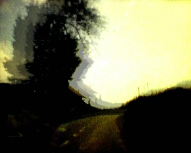 Eine dunkle Landstraße führt an einem Baum und einem Haus vorbei.