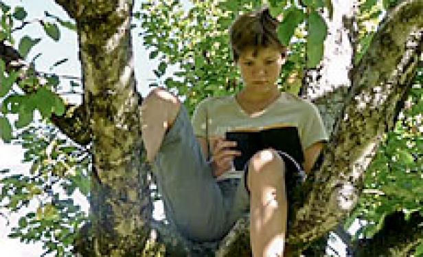 Ein Kind sitzt in einem Baum und liest ein Buch.