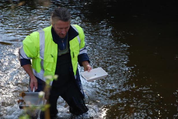 Ein Mann in Watstiefeln und Warnweste steht in einem Fluss und hält zwei Behälter.