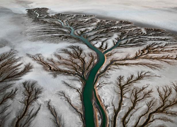 Luftaufnahme eines Flusses, der sich durch eine baumartige Landschaft schlängelt.