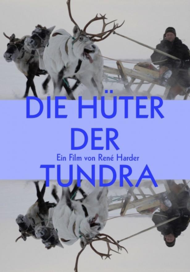 Das Filmplakat für „Die Hüter der Tundra“ zeigt einen Mann, der einen Rentierschlitten durch den Schnee steuert.