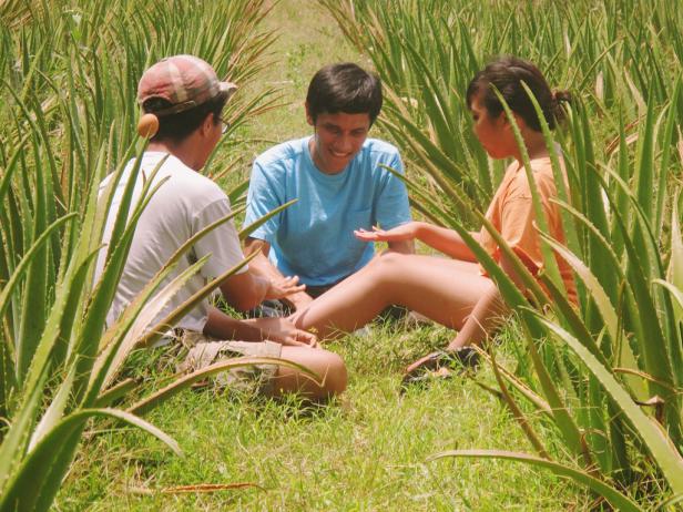Drei Personen sitzen in einem Feld mit Aloe Vera Pflanzen und unterhalten sich.