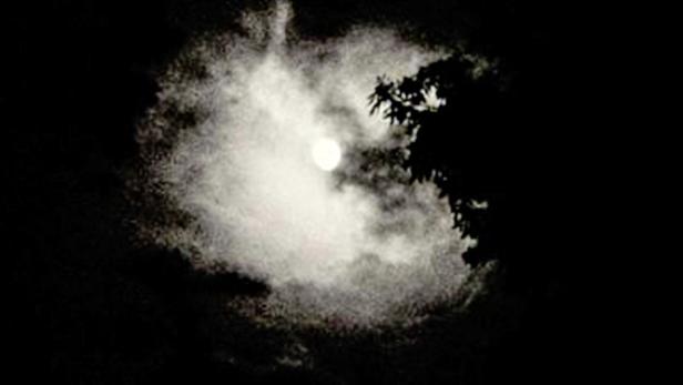 Der Mond scheint hell durch die Wolken und das Geäst eines Baumes.