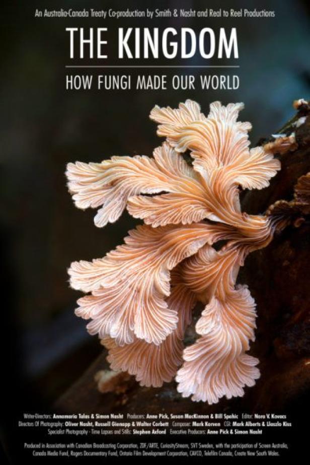 Das Filmplakat für „The Kingdom: How Fungi Made Our World“ zeigt einen Pilz.