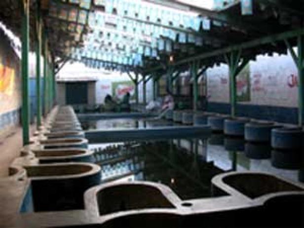 Eine Reihe von Wasserbecken unter einem überdachten Bereich.