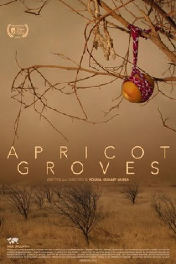Das Filmplakat für „Apricot Groves“ zeigt einen Aprikosenbaum in einer trockenen Landschaft.