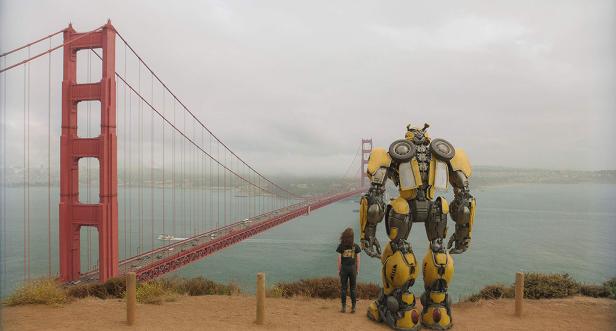 bumblebee-3.jpg