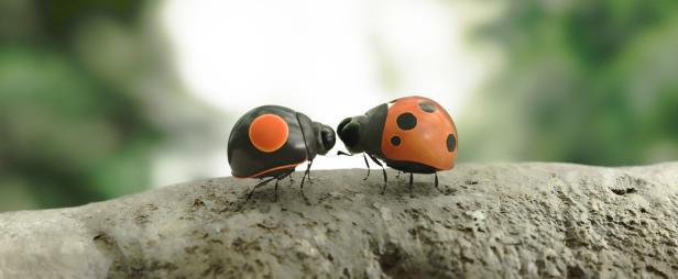 Zwei stilisierte Marienkäfer sitzen auf einem Stein.