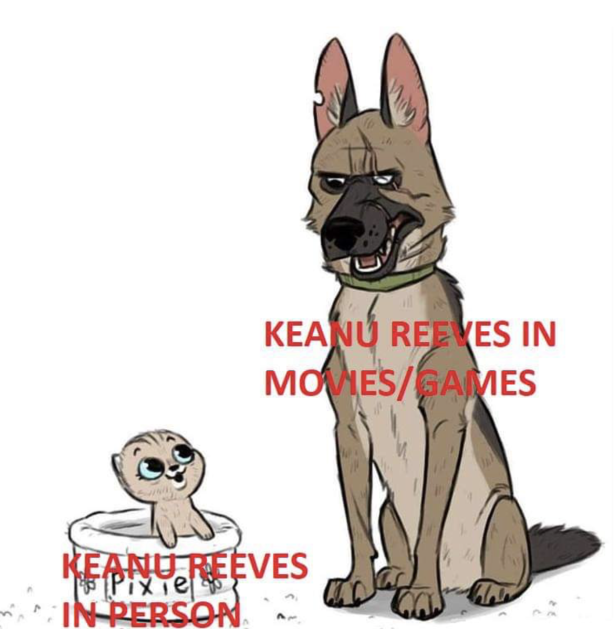 Die 12 besten Memes zu Keanu Reeves