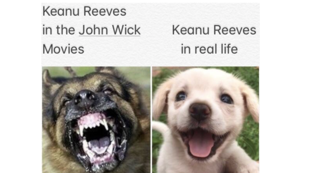 Die 12 besten Memes zu Keanu Reeves