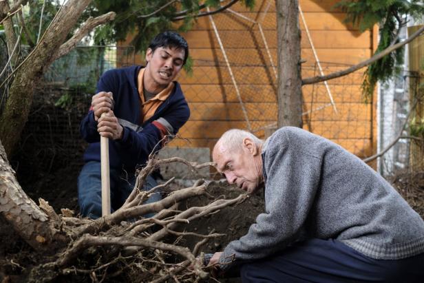 "Nobadi" auf ORF 3: Niemand kümmert sich um den alten Mann