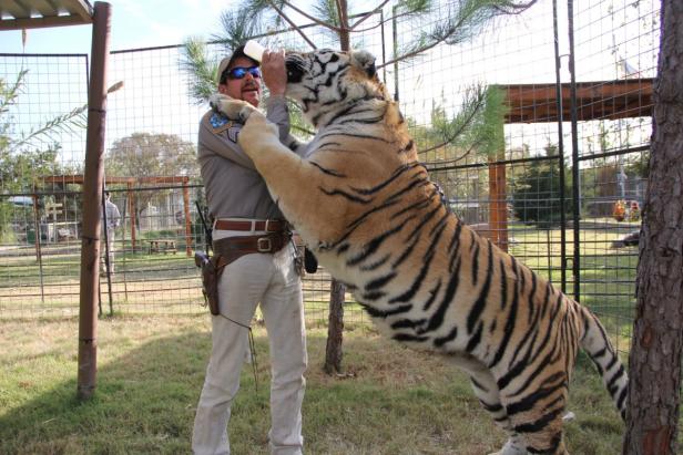 "Tiger King": Die verrückteste Doku auf Netflix