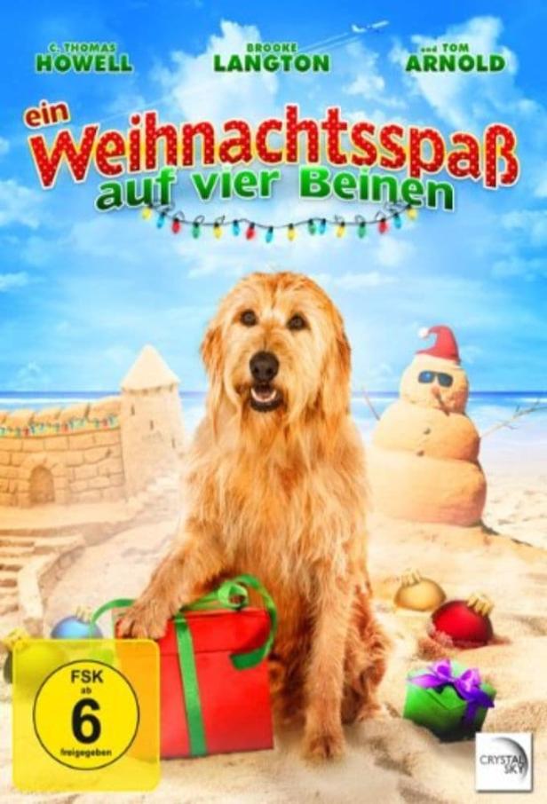 Das Filmplakat für „Ein Weihnachtsspass auf vier Beinen“ zeigt einen Hund am Strand mit Weihnachtsdekorationen.