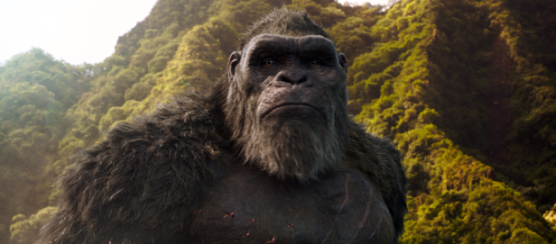 "Godzilla vs. Kong": Muss man die bisherigen MonsterVerse-Filme gesehen haben?