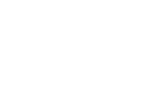 Der Schriftzug „Magie der Wildpferde“ in weißer Schrift auf schwarzem Hintergrund.
