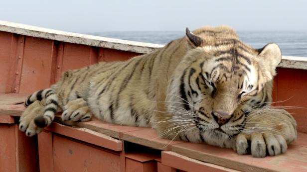 life-pi-schiffbruch-tiger-2.jpg