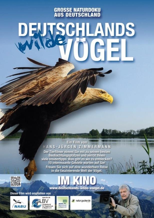 Ein Filmposter für „Deutschlands wilde Vögel“ mit einem fliegenden Seeadler im Vordergrund.