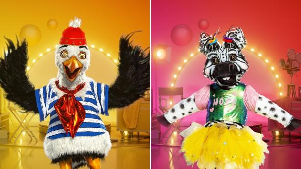 Die ersten Hinweise zu den neuen "Masked Singer"-Kostümen