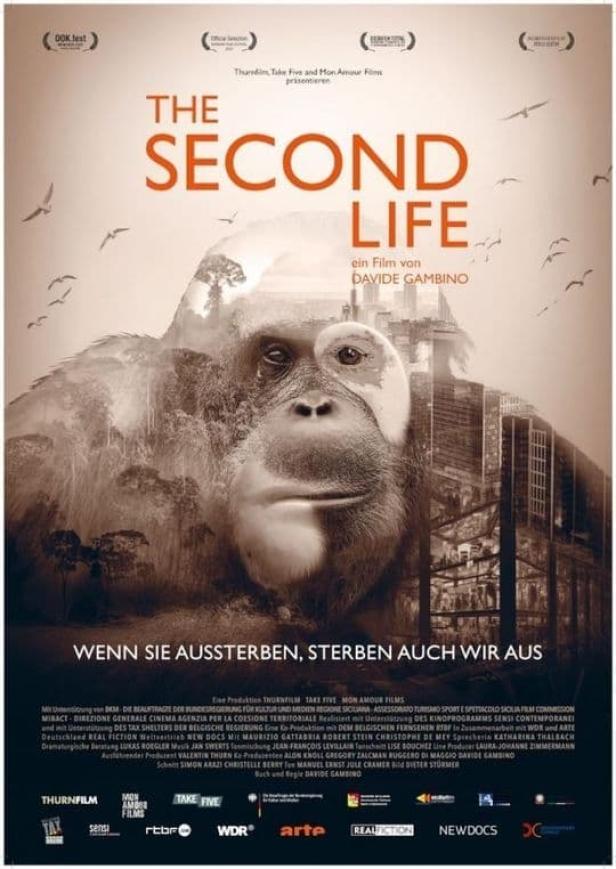 Das Filmplakat für „The Second Life“ zeigt das Gesicht eines Orang-Utans vor einer Stadtkulisse.