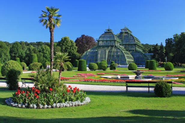 palmenhaus-schoenbrunn.jpg