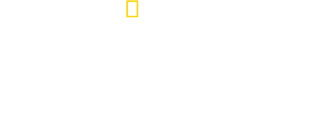 Das Logo von National Geographic prangt über dem Schriftzug „Airport Security“.