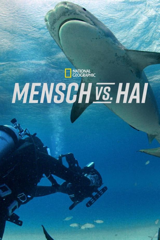 Ein Taucher begegnet einem Hai unter Wasser, Titel „Mensch vs. Hai“ von National Geographic.