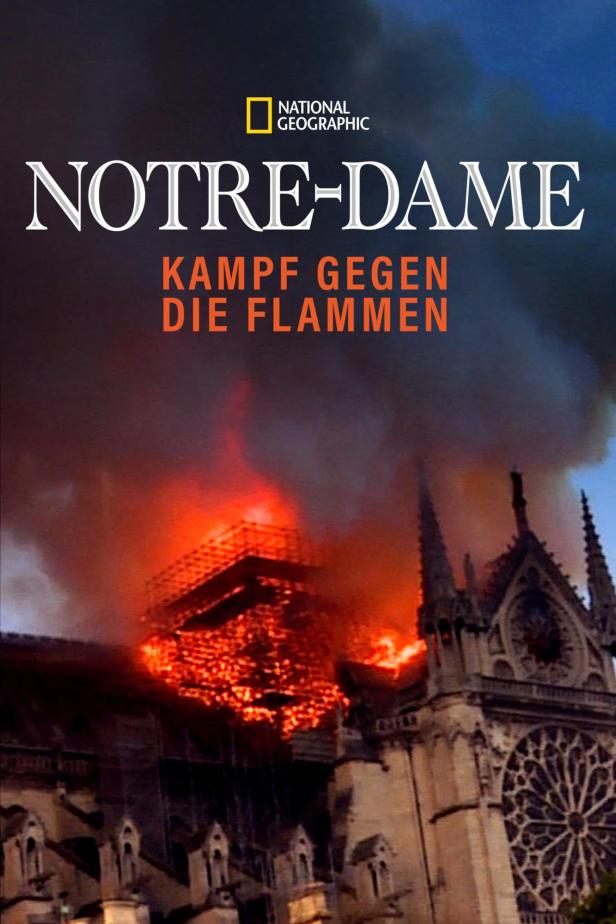 Die Kathedrale Notre-Dame steht in Flammen.