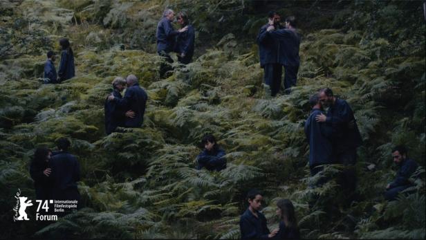 Mehrere Paare und Einzelpersonen in blauer Kleidung stehen oder sitzen inmitten von Farnen.