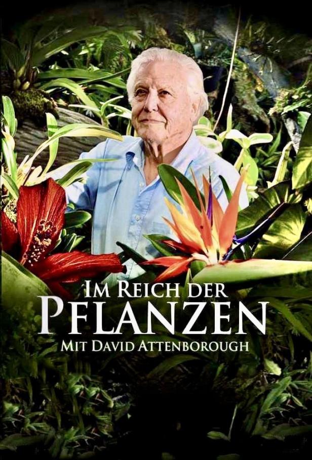 David Attenborough inmitten üppiger Pflanzenpracht, möglicherweise eine Szene aus „Im Reich der Pflanzen“.