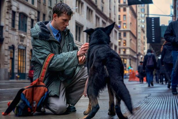 Ein Mann streichelt einen Hund auf einer belebten Straße in der Stadt.
