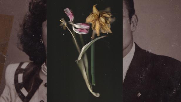 Verwelkte Blumen zwischen den Porträts eines Paares.