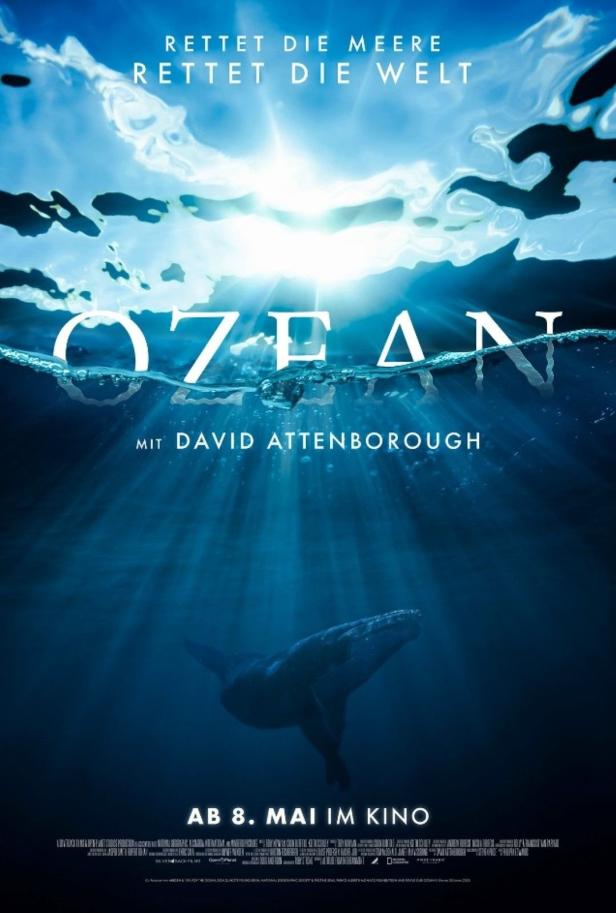 Das Filmplakat für „Ozean“ mit David Attenborough zeigt einen Wal unter der Meeresoberfläche.