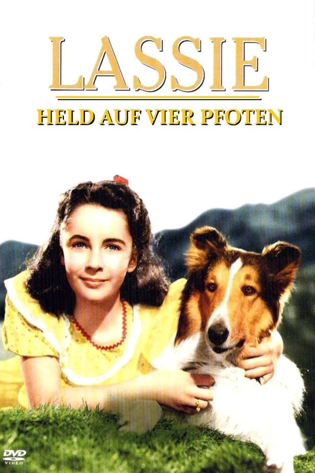Das Filmplakat für „Lassie – Held auf vier Pfoten“ mit Elizabeth Taylor und dem Collie Lassie.