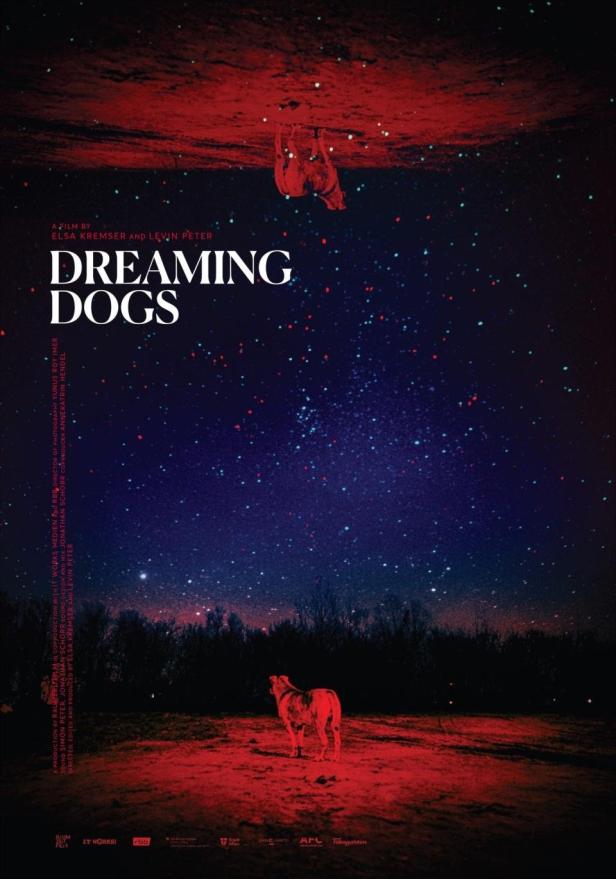 Das Filmplakat für „Dreaming Dogs“ zeigt einen Hund unter einem Sternenhimmel.