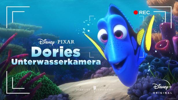 Dorie, der blaue Fisch aus dem Film „Findet Dorie“, unter Wasser.