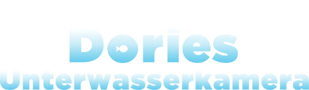 Das Logo für „Dories Unterwasserkamera“ von Disney Pixar.
