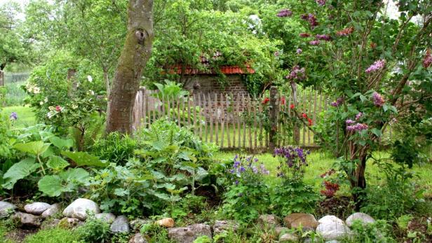 Ein üppiger Garten mit Blumen, Sträuchern und einem Holzzaun im Hintergrund.