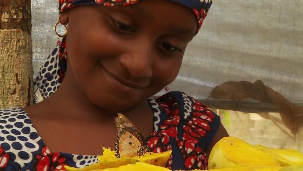 Ein Mädchen betrachtet lächelnd einen Schmetterling, der auf einer Mango sitzt.
