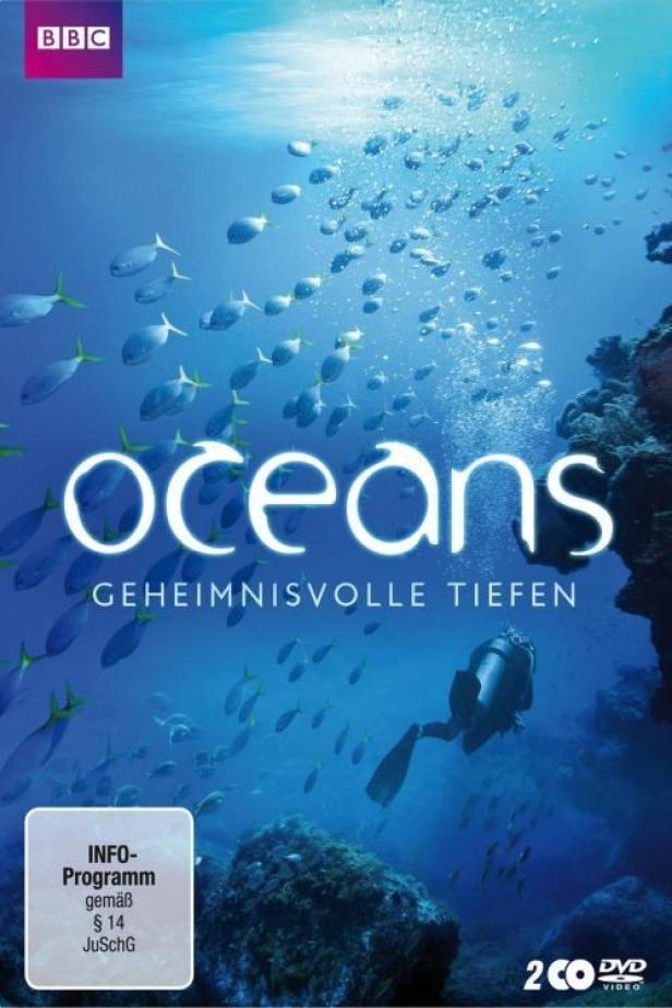 Ein Taucher erkundet die Tiefen des Ozeans, umgeben von Fischen und Korallen.