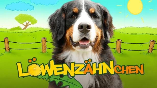Ein Berner Sennenhund vor einer gezeichneten Landschaft mit dem Schriftzug „Löwenzähnchen“.