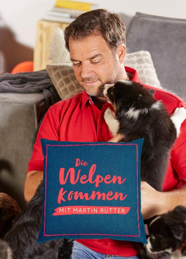Martin Rütter hält einen Welpen vor einem Kissen mit der Aufschrift „Die Welpen kommen“.