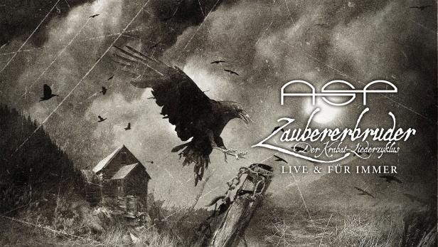 Ein Rabe fliegt vor einer alten Holzhütte, im Hintergrund der Schriftzug „ASP Zaubererbruder“.