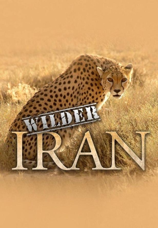 Ein Gepard steht im hohen Gras; Schriftzug „Wilder Iran“.