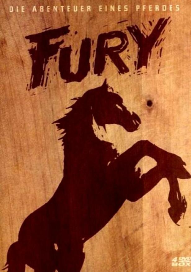 Das Cover von „Fury: Die Abenteuer eines Pferdes“ zeigt die Silhouette eines aufbäumenden Pferdes.