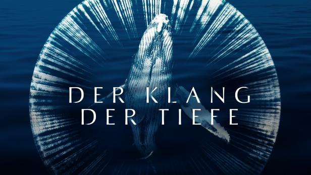 Ein Buckelwal schwimmt im tiefblauen Ozean, umgeben von Lichtstrahlen.