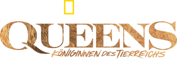 Das Logo der National Geographic Dokumentation „Queens – Königinnen des Tierreichs“.